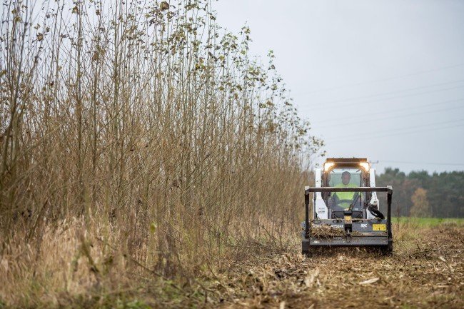 BOBCAT T590 RUPSLADER