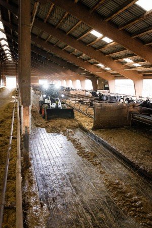 BOBCAT L95 KNIKLADER