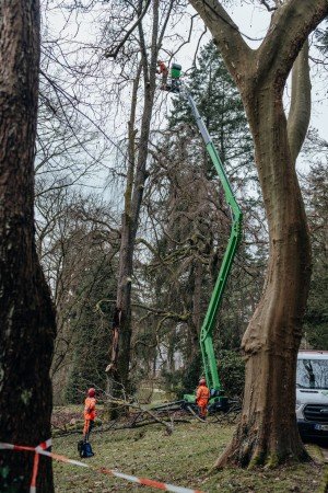 AVANT LEGUAN 265 SPINHOOGTEWERKER
